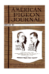 Cover. click for larger image